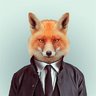 foxdoc