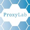 Proxy-Lab