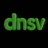 dnsv